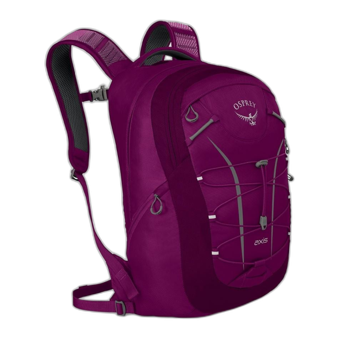 Plecak OSPREY Axis 18 /  fioletowy
