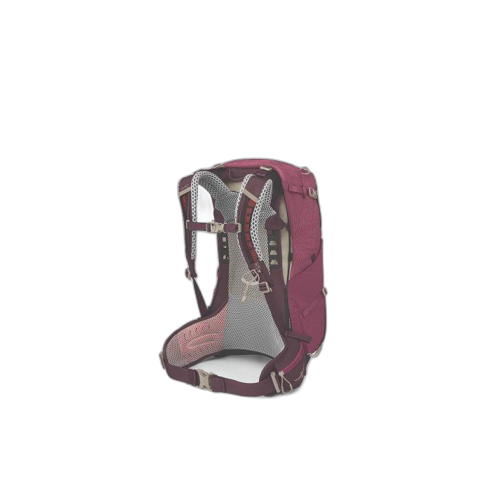 Plecak OSPREY Sirrus 24 / Elderberry Purpl/Ch.