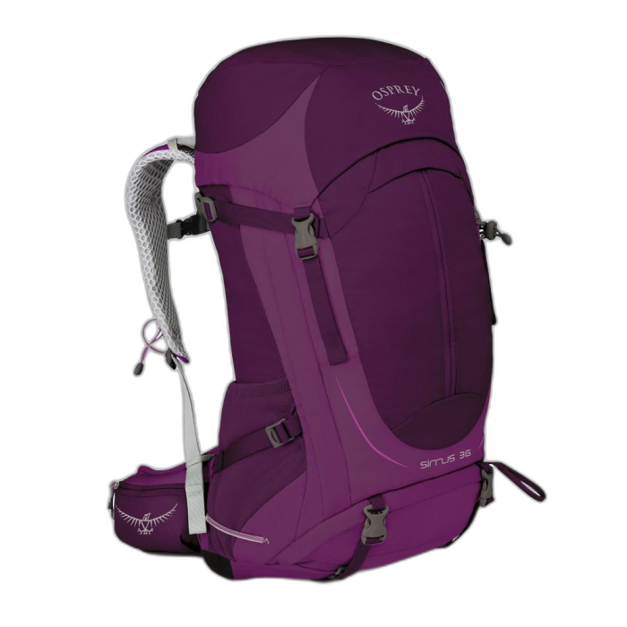 Plecak OSPREY Sirrus 36 WS/WM /  fioletowy