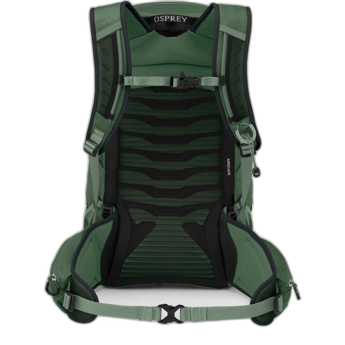 Plecak OSPREY Talon 22 / green Canopy Pine Le