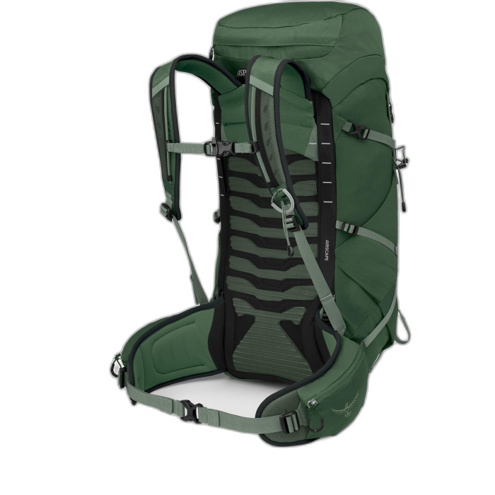 Plecak OSPREY Talon 33 / Green Canopy Pine Le