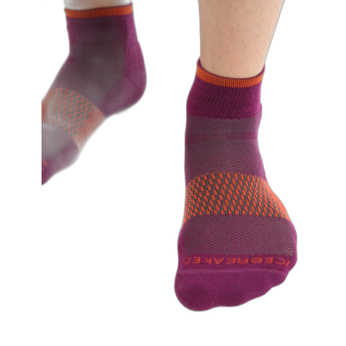 Skarpety męskie ICEBREAKER Multisport Lite Mini 105132 / 777 goberry