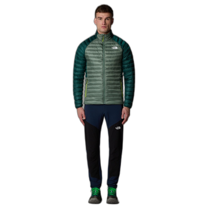 Spodnie męskie THE NORTH FACE Felik Slim /  granatowy