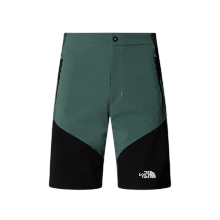 Szorty męskie THE NORTH FACE Felik Slim / LFW Duck green