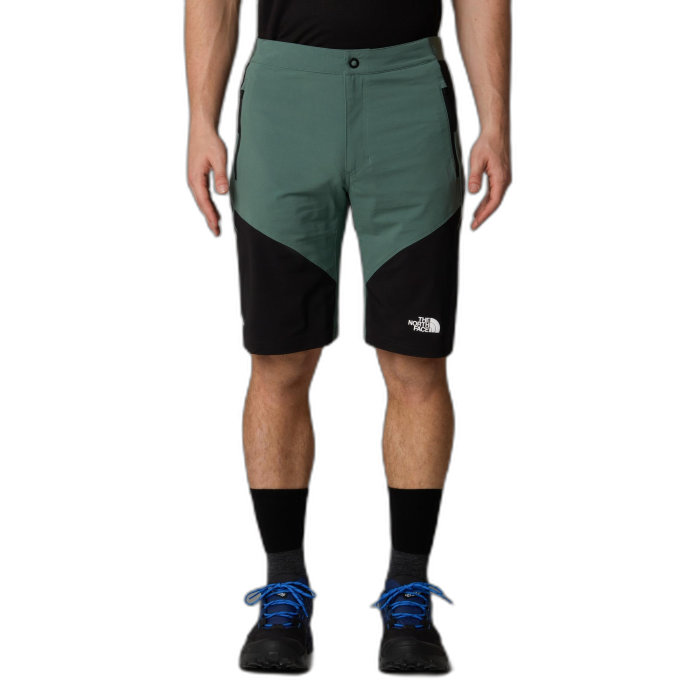 Szorty męskie THE NORTH FACE Felik Slim / LFW Duck green