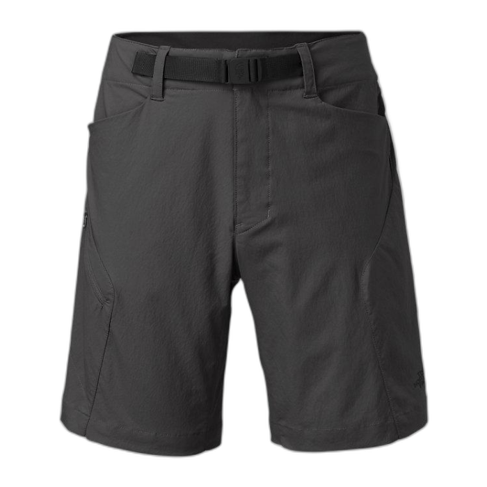 Szorty TNF M Paramount 3.0 /  szary