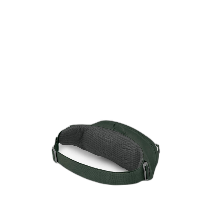 Torebka OSPREY Daylite Waist / Greenbelt/Green Cano