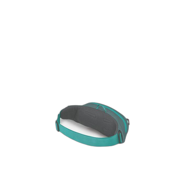 Torebka OSPREY Daylite Waist / Jetstream Blue