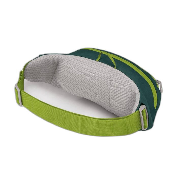 Torebka OSPREY Daylite Waist / Es. Green/Bai. Green