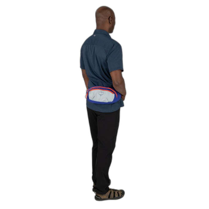 Torebka OSPREY Daylite Waist / Silver L./Blueberry