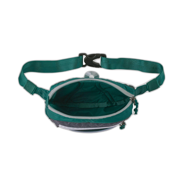 Torebka PATAGONIA Ultralite Travel Mini Hip /  wielokolorowy
