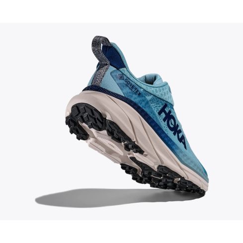 Buty HOKA Ws Challenger 7 GTX / RPG