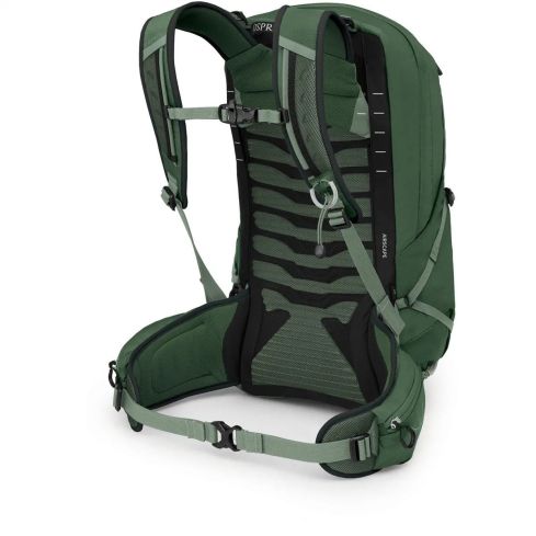 Plecak OSPREY Talon 22 / green Canopy Pine Le