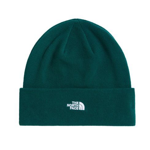 Czapka THE NORTH FACE Norm Beanie / 1KI Hunter Green