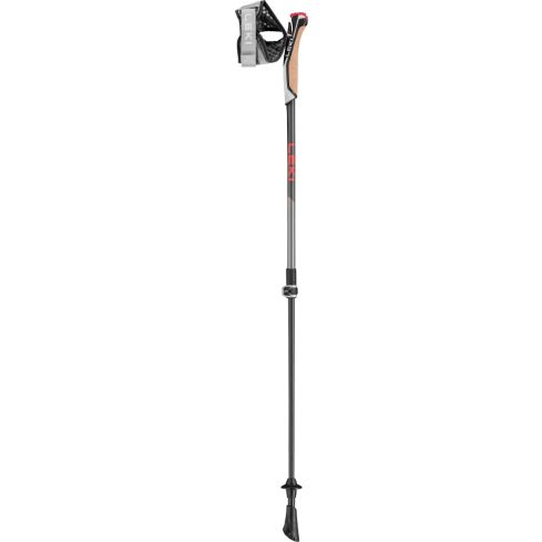 Kije LEKI NW Instruktor Lite / anthracite-silvergr