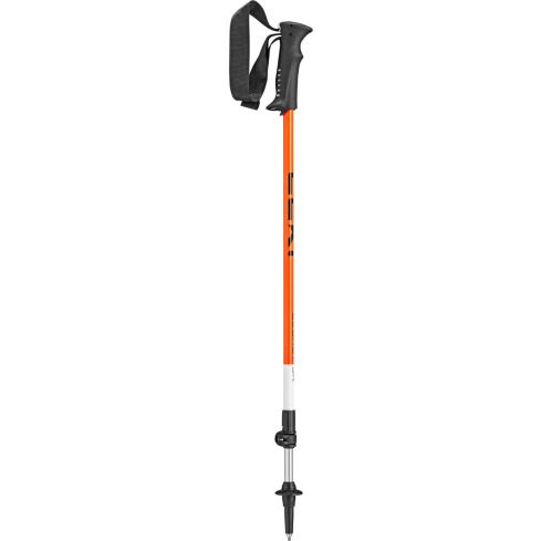 Kije LEKI Legacy Junior / 65320541