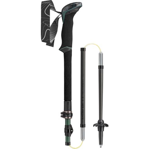 Kije LEKI Makalu FX Carbon / malachite greenblack