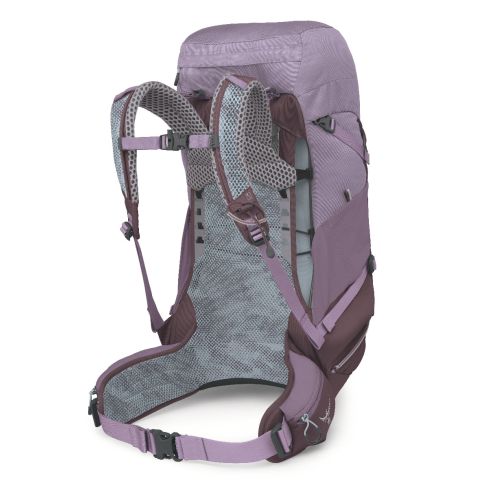 Plecak OSPREY Sirrus 36 / Purple Dusk