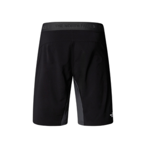 Szorty męskie THE NORTH FACE Felik Slim / 4JK Asphalt grey