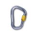 Karabinek BD Vaporlock Screwgate / Gray