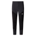 Spodnie męskie THE NORTH FACE Felik Slim  / MN8 asphalt grey blk
