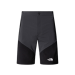Szorty męskie THE NORTH FACE Felik Slim / 4JK Asphalt grey