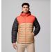 Kurtka COLUMBIA WX6272 Powder Lite II Hooded / 262 Canoe/Zing/Shark