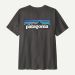 Koszulka PTG M P-6 Logo S/S / Ink Black