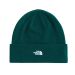 Czapka THE NORTH FACE Norm Beanie / 1KI Hunter Green