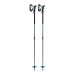 Kije LEKI Guide Lite 2 / silver petrol black