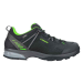 Buty LOWA Ledro GTX Lo / schwarz/limone